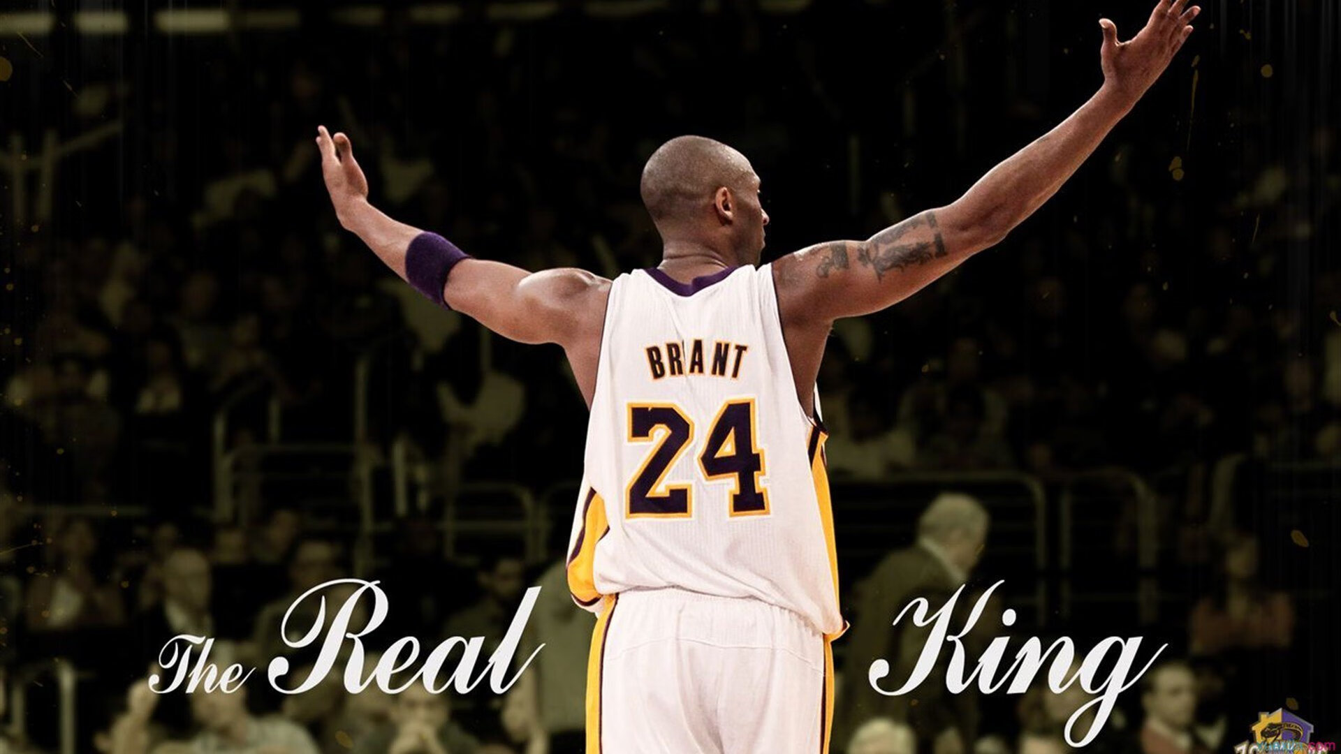 鹈鹕硬仗击退湖人，文班亚马稳定输出成关键